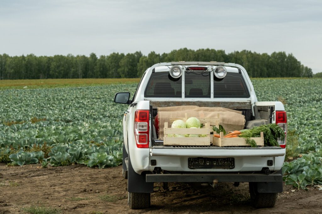 A pick-up truck with farm produce loaded at the back.