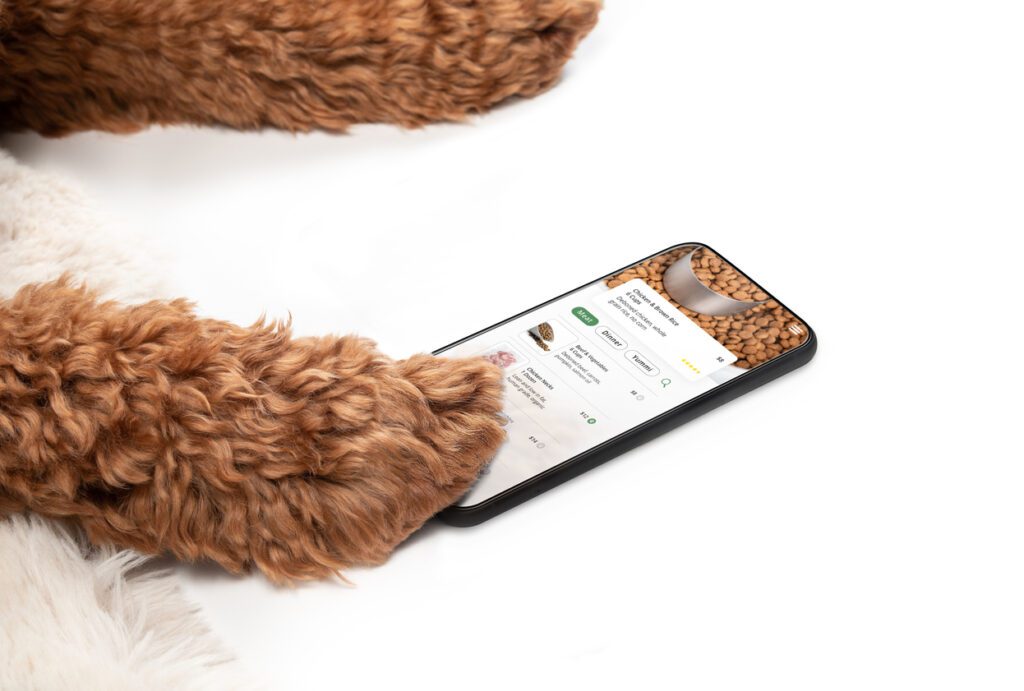Dog paw rests on a phone delivery app, illustrating the convenience of delivery management software.  