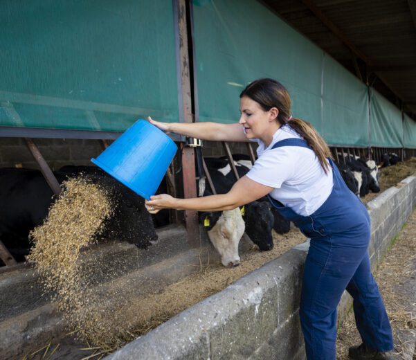 Farmer puts out feed for livestock, delivered by a feed store using software for delivery businesses.