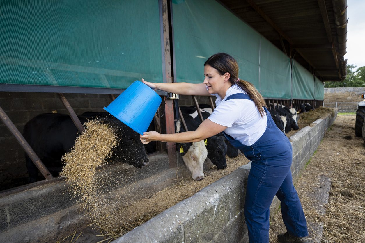 Farmer puts out feed for livestock, delivered by a feed store using software for delivery businesses.