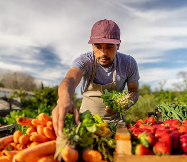 Farmer inspects produce and thinks about streamlining with csa management software.