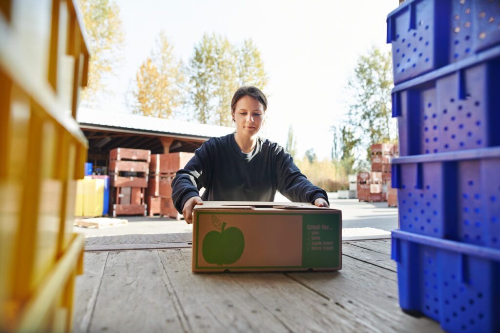 Woman packs apples for cold shipment. 