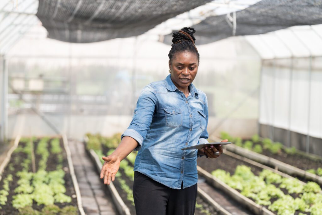 An organic farmer is in her greenhouse, monitoring her crops with technology via her tablet. 